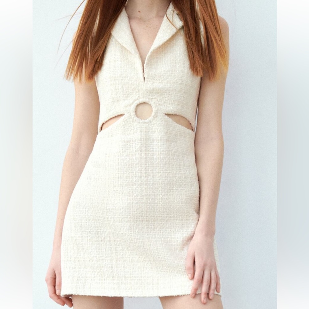 Zara Textured Cut Out Dress